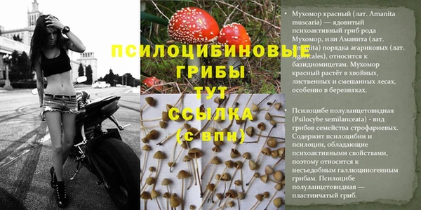 спайс Алексин