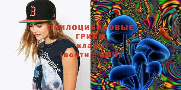 СК Абинск