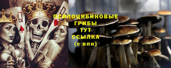 спайс Алексин